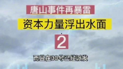 唐山爆料人录音视频播放,现场惊心动魄，真相令人震惊