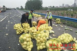 肇庆吃瓜群众网红事件,网络舆论的风暴与反思