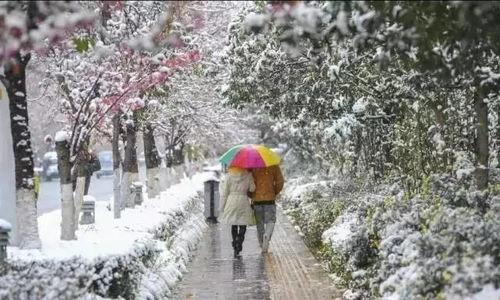 昆明爆料下雪事件视频,市民惊喜围观！