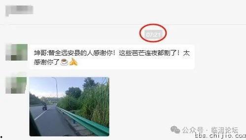 远安最新爆料事件视频