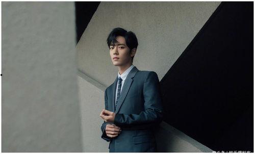 肖战资讯爆料文章最新,揭秘他的私生活与演艺事业新动向