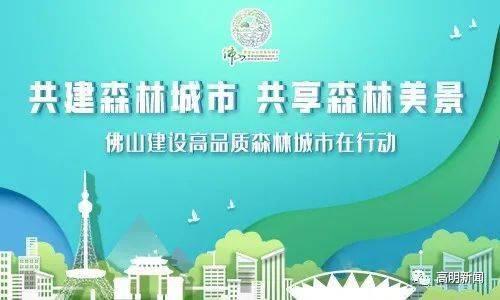 广东佛山新闻爆料,突发事件引发关注，最新进展揭晓