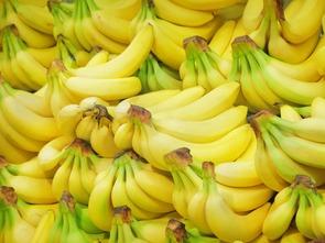 香蕉官网最新版本爆料