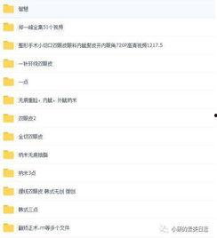 唯美爆料视频素材网站,揭秘热门视频素材网站背后的精彩故事