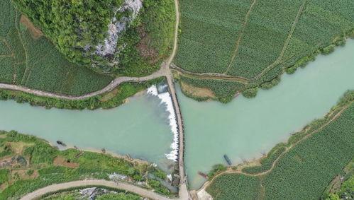 田园牧歌爆料最新消息,最新热点事件深度解析