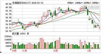 东港股份最新爆料新闻,揭秘公司重大战略布局与未来发展动向