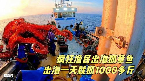 捕鱼记录片在线观看