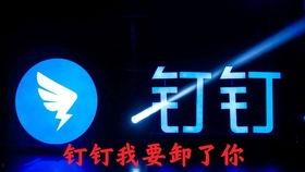 晶晶体验服最新爆料