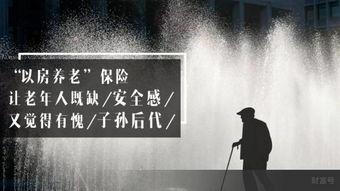 抵押300万在线观看,轻松了解贷款流程与技巧